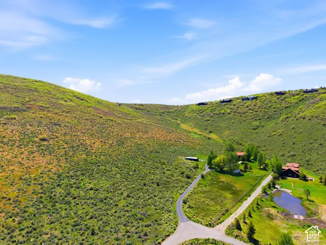Expansive hillside property featuring a private driveway, a natural pond, and mature trees surrounding the main residence