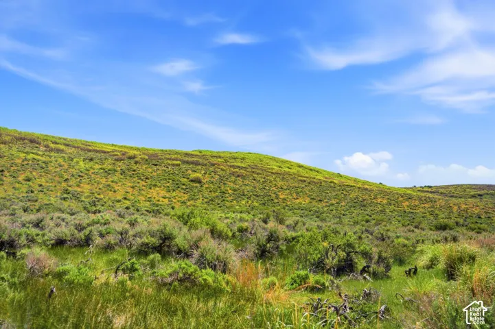 Gently sloping terrain featuring varied natural vegetation under an expansive blue sky