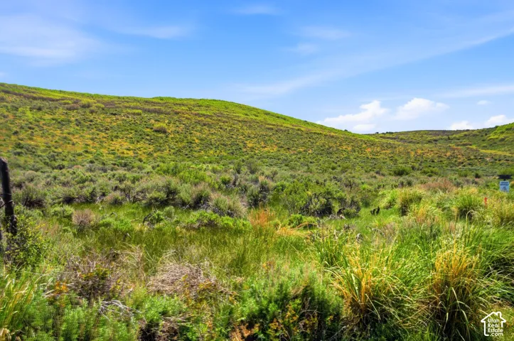 Expansive undeveloped land featuring rolling hills and varied natural vegetation under a bright sky