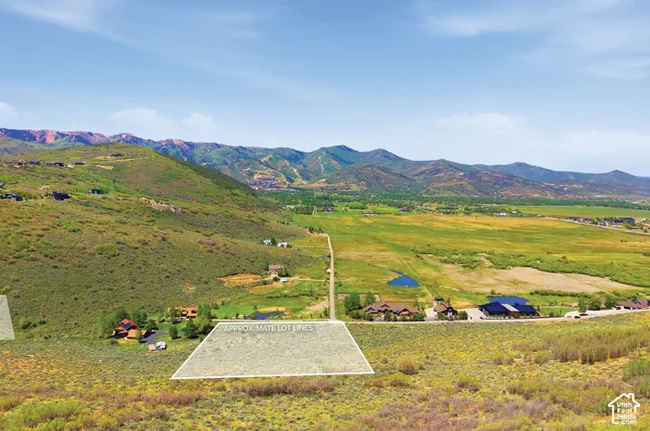 Expansive lot featuring marked approximate lot lines, surrounded by natural terrain with scattered brush and green foliage