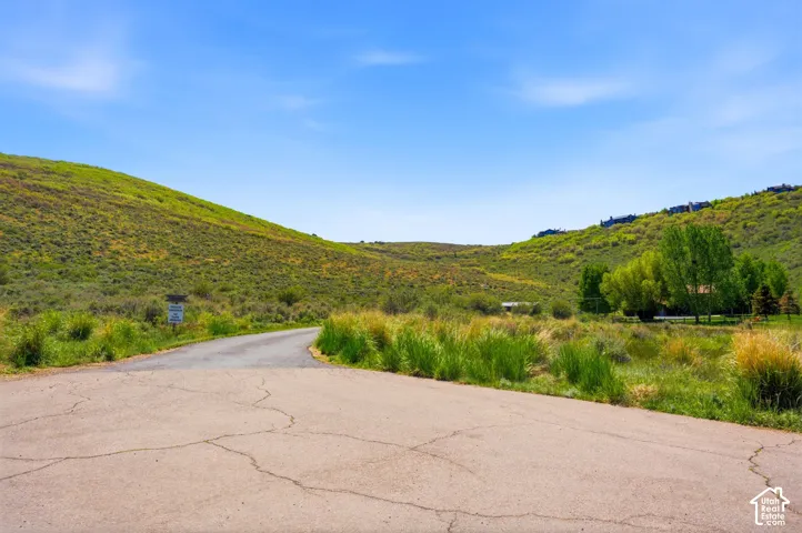 Paved road winding through a landscape of rolling green hills