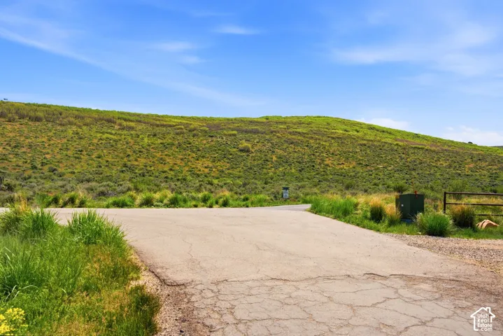 Paved driveway with gravel shoulder, framed by natural grasses and distant rolling hills