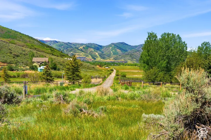Expansive green landscape featuring a gravel road, mature trees, and mountainous terrain in the background