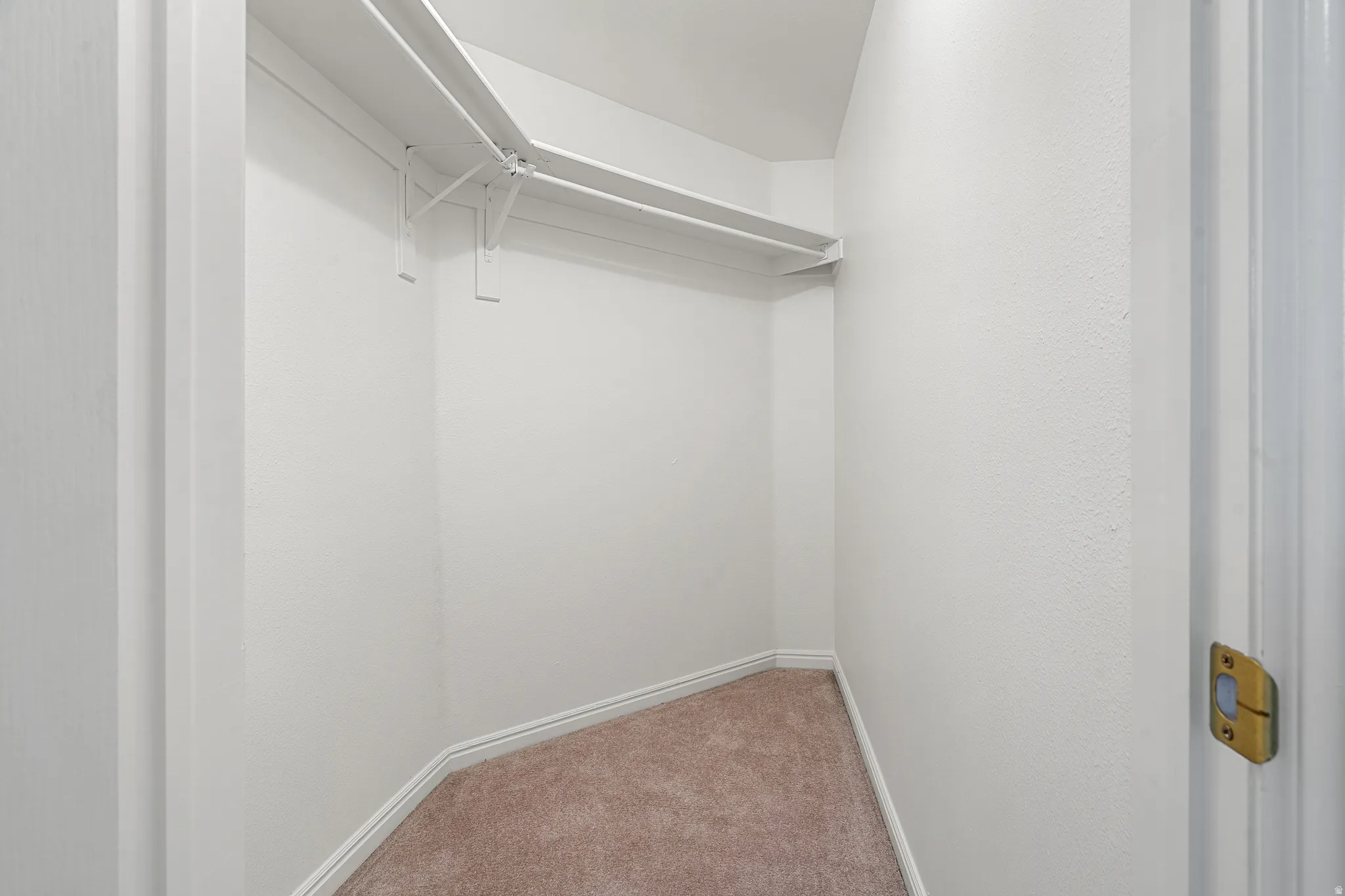 Walk-in closet featuring light brown carpeting, white baseboards, and built-in white shelving