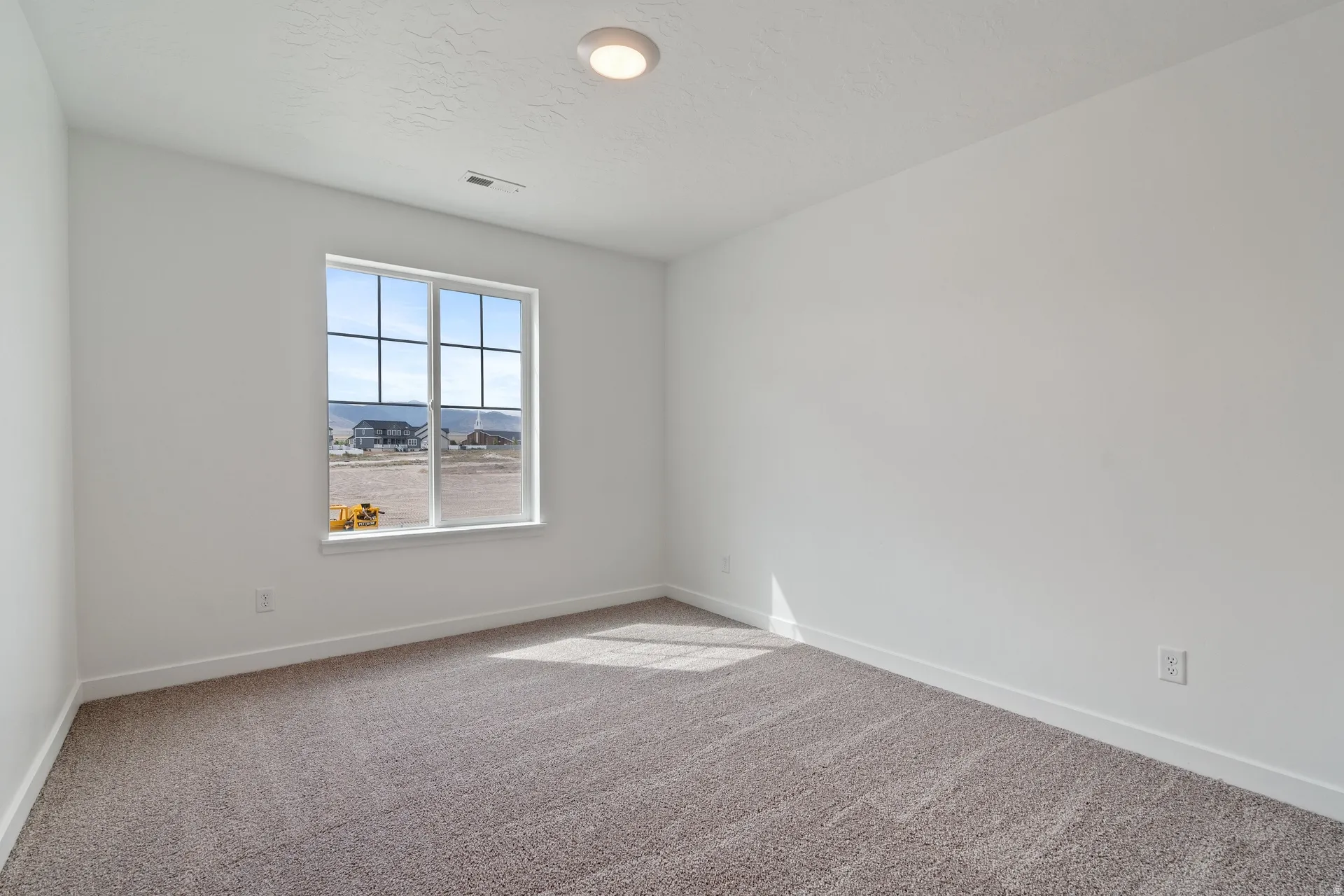 Carpeted room featuring a double-paned window with grid inserts, an overhead flush-mount light fixture, and white baseboards