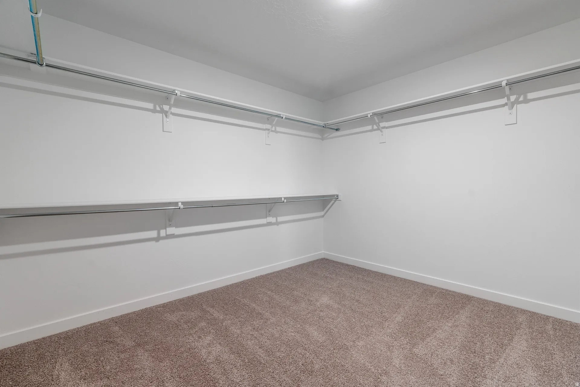 Spacious closet featuring white walls, plush carpeting, and built-in shelving with hanging rods