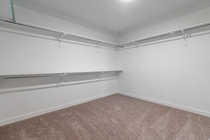 Spacious closet featuring white walls, plush carpeting, and built-in shelving with hanging rods