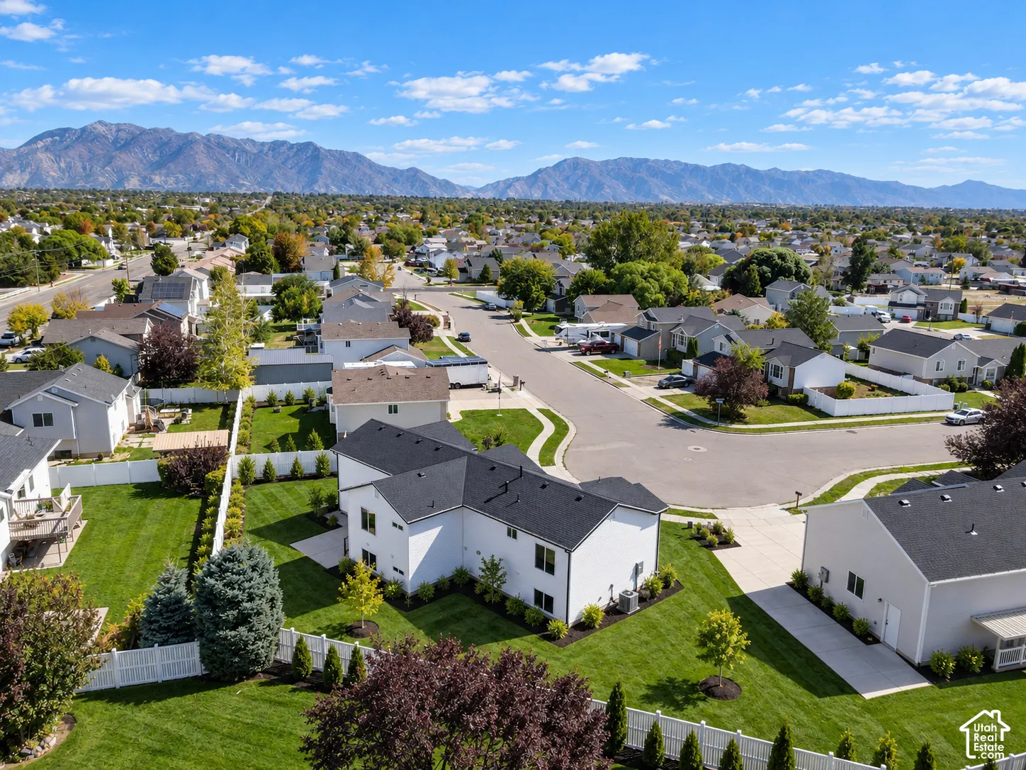 Expansive property featuring a vibrant green lawn, mature trees, and a durable privacy fence