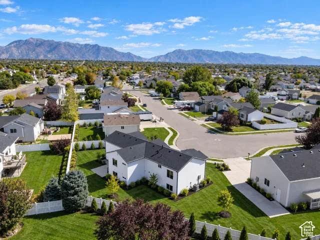 Expansive property featuring a vibrant green lawn, mature trees, and a durable privacy fence