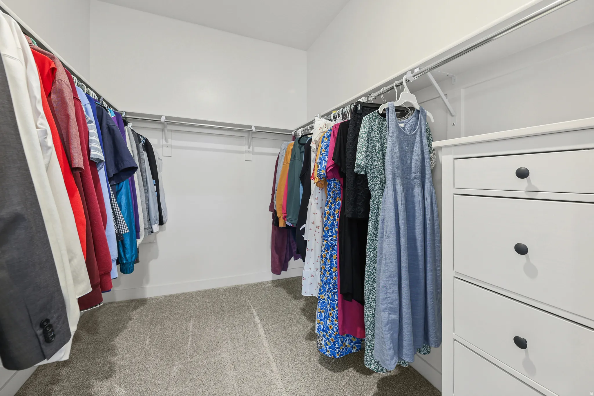 Walk-in closet featuring light gray carpeting, multiple clothing rods, and a built-in white dresser with black knob hardware