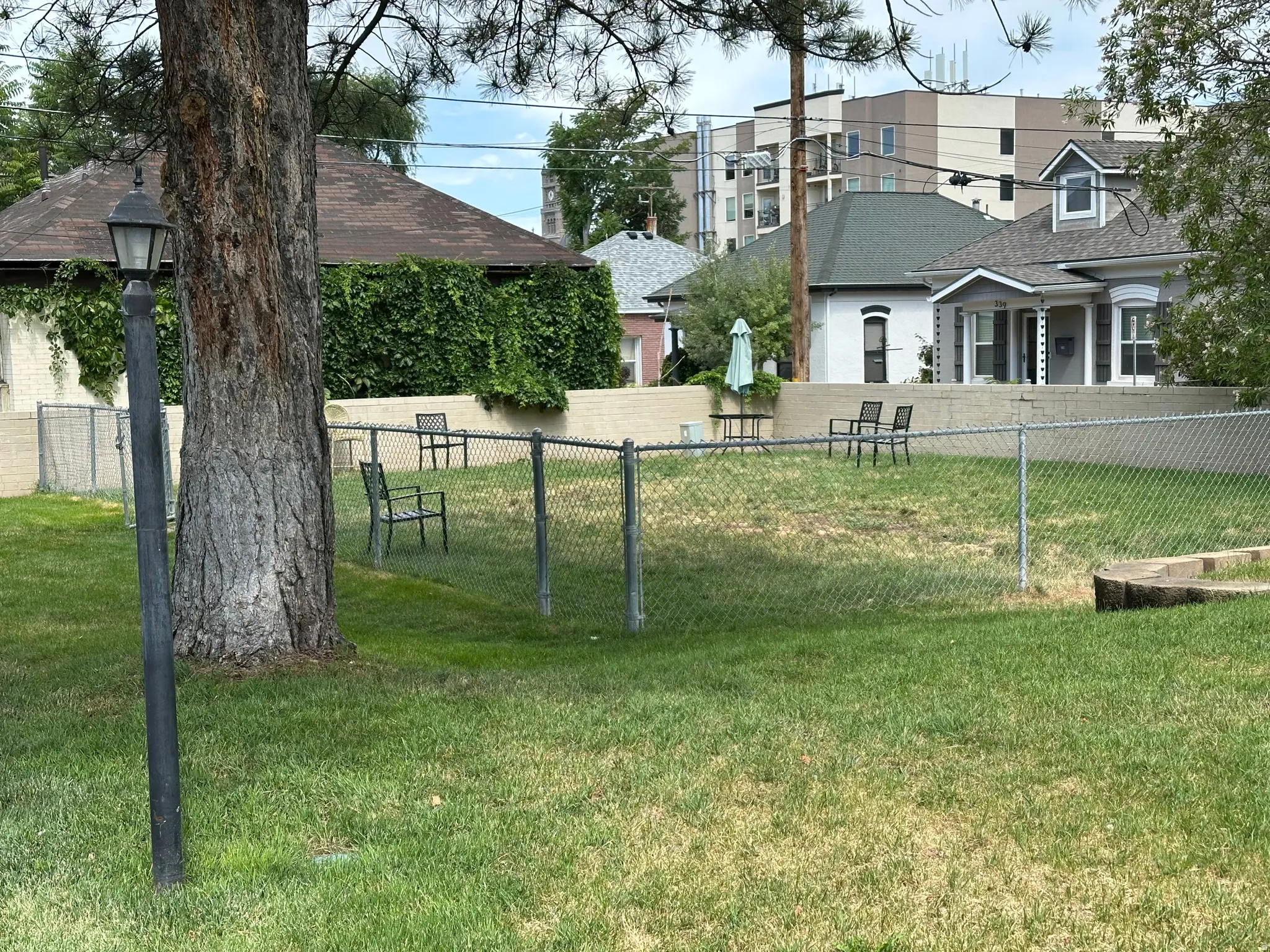Grassy outdoor area featuring a mature tree, chain-link fencing, and a permanent exterior light fixture