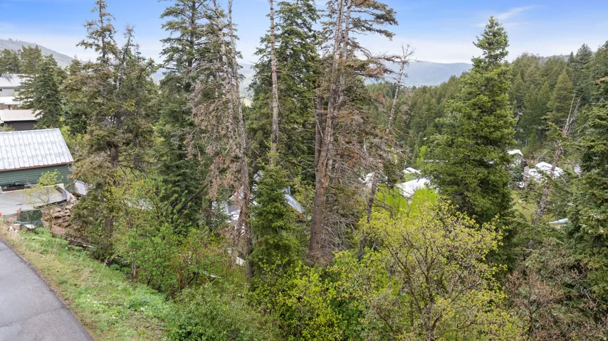 165 Paradise Rd, Park City, Utah 84098