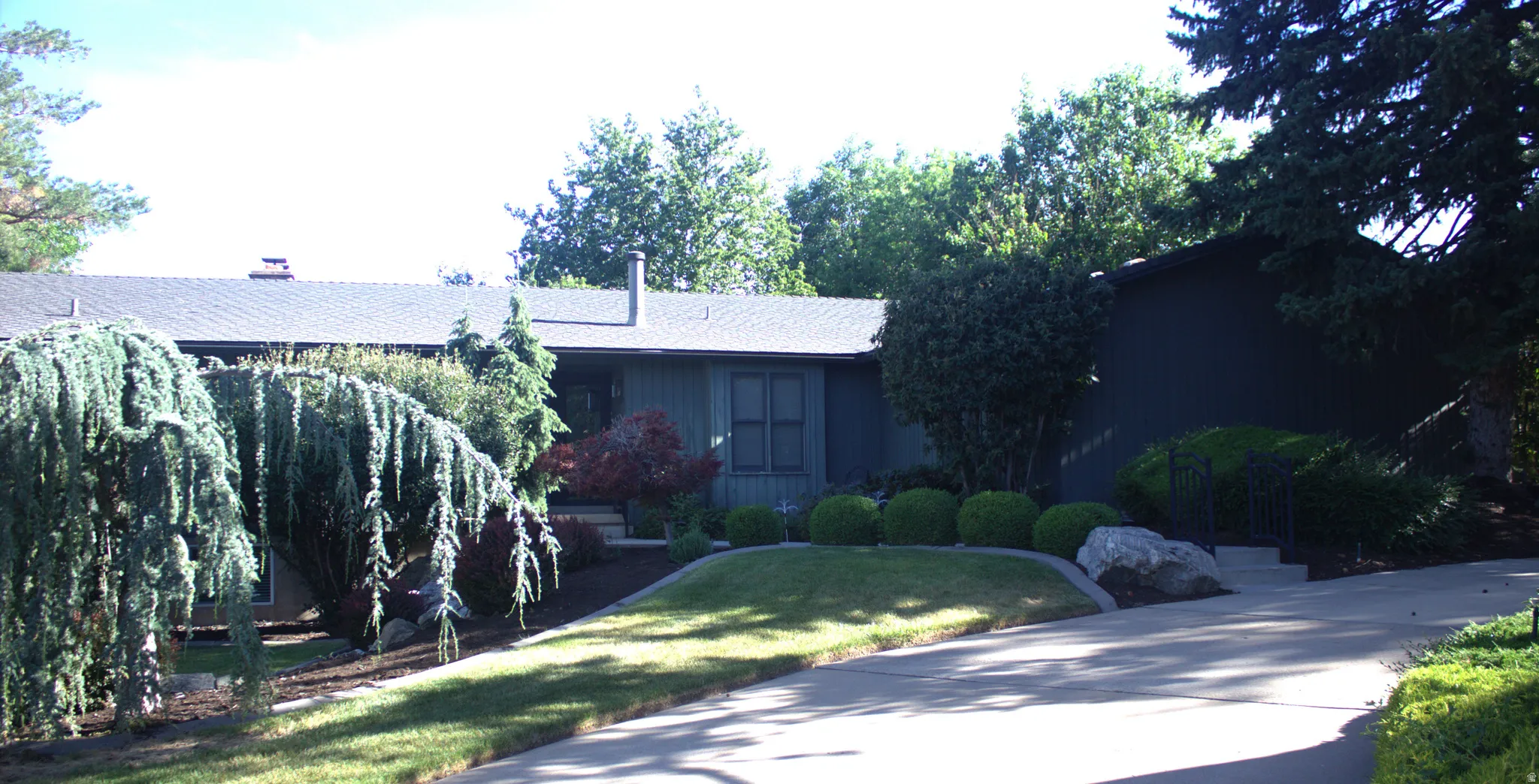 Ranch-style residence featuring a dark-toned exterior, a gray shingle roof, and a concrete driveway