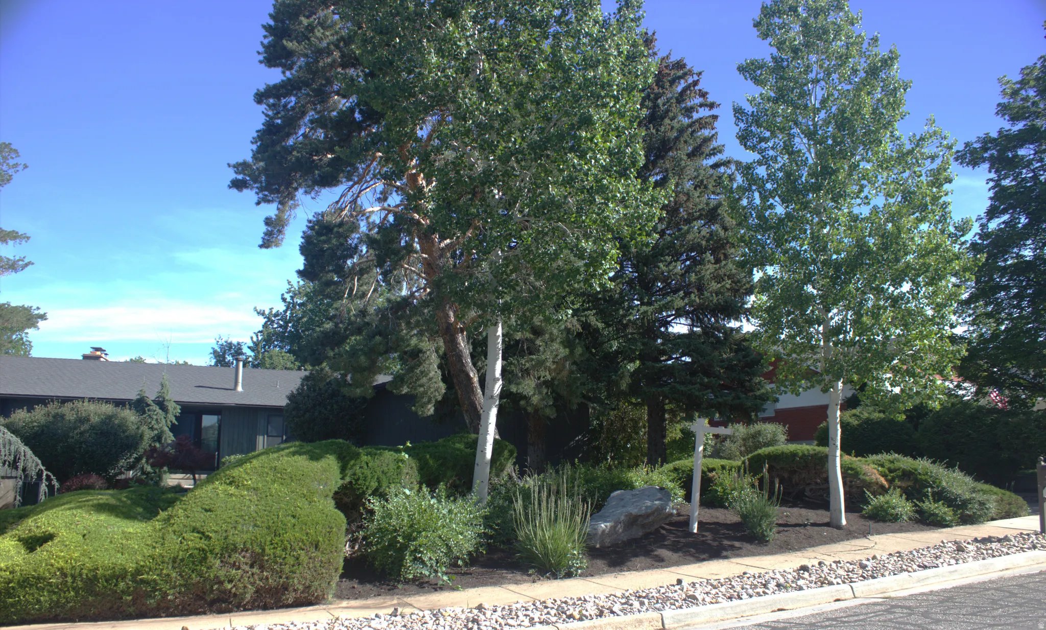 Mature landscaping featuring diverse trees and sculpted shrubbery