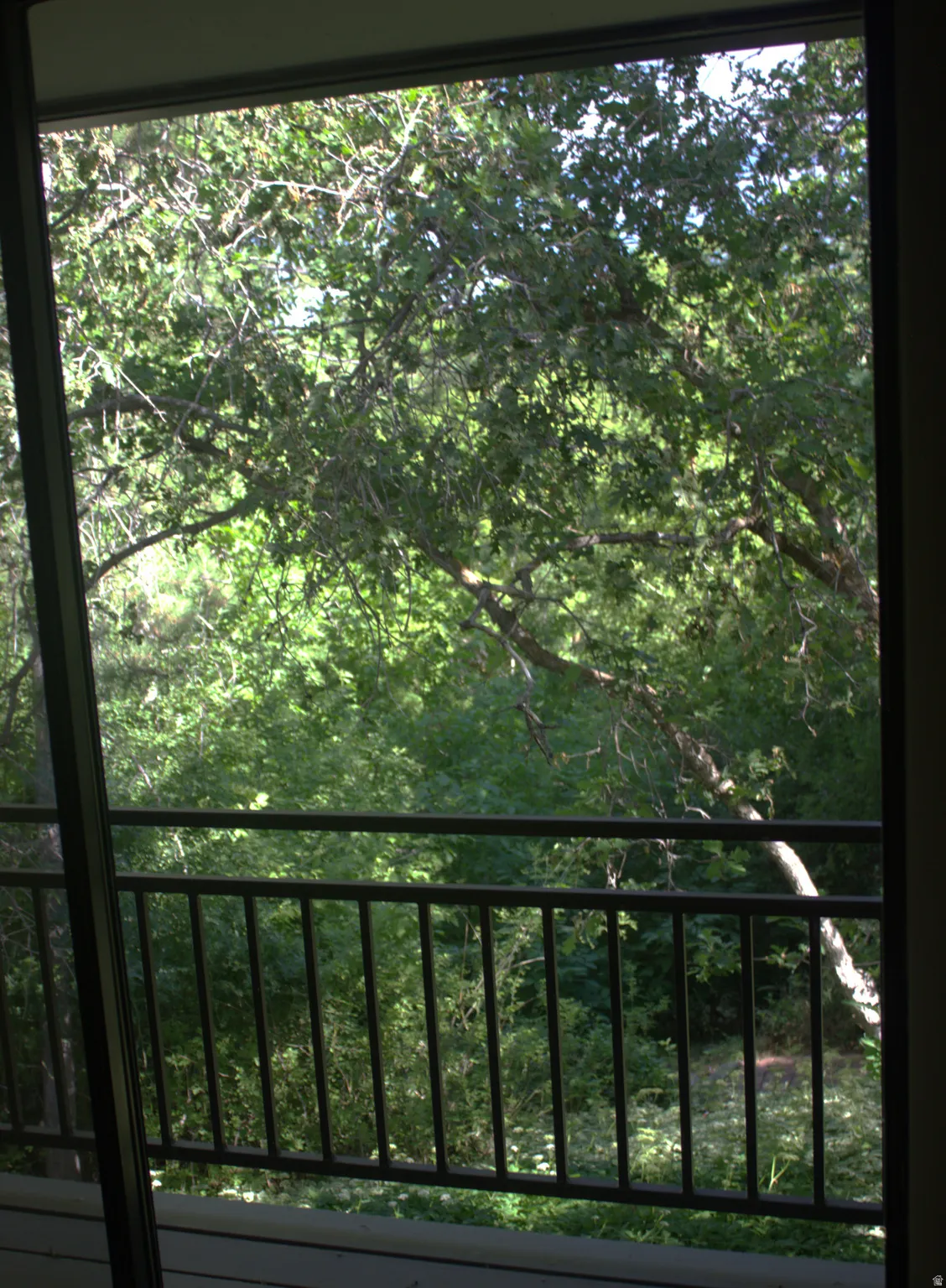 Sliding glass door leading to a balcony with black metal railings, overlooking abundant mature foliage