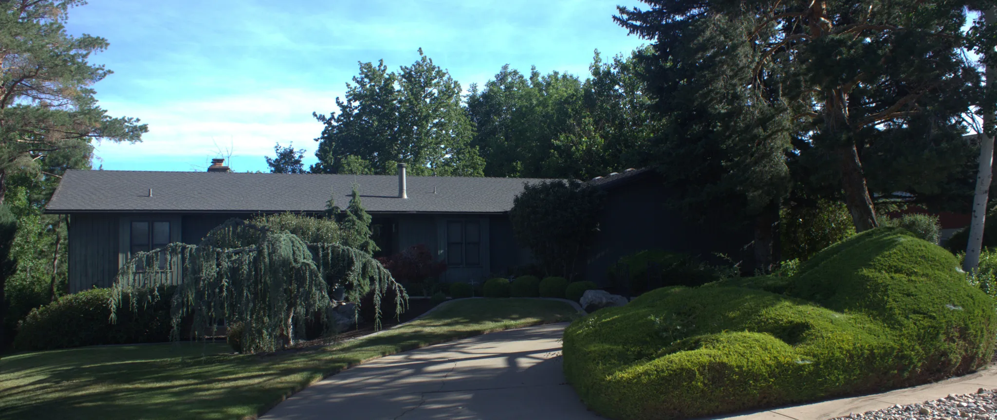 The property features a dark-toned exterior under a gray shingle roof