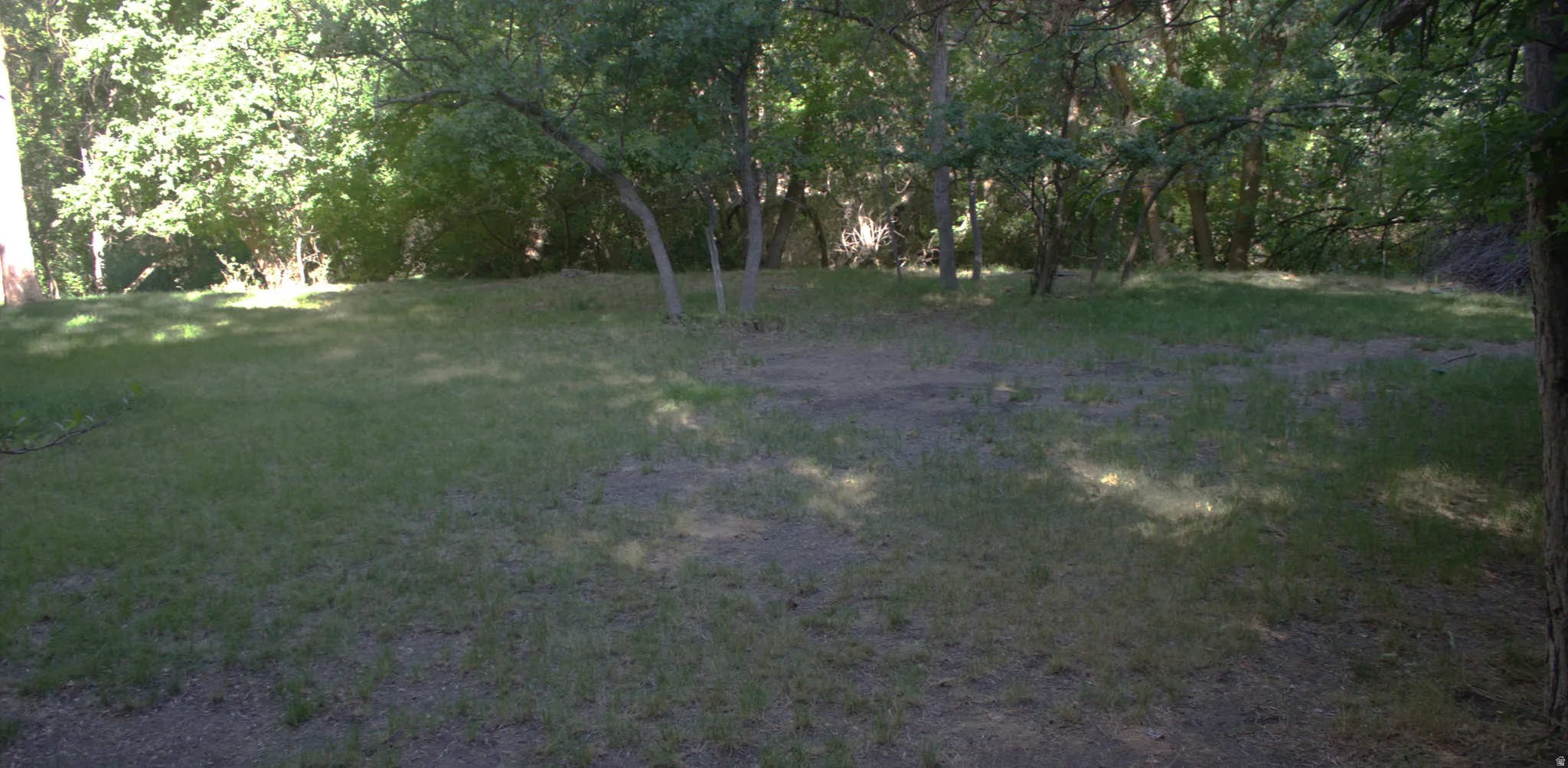 Image quality insufficient for description