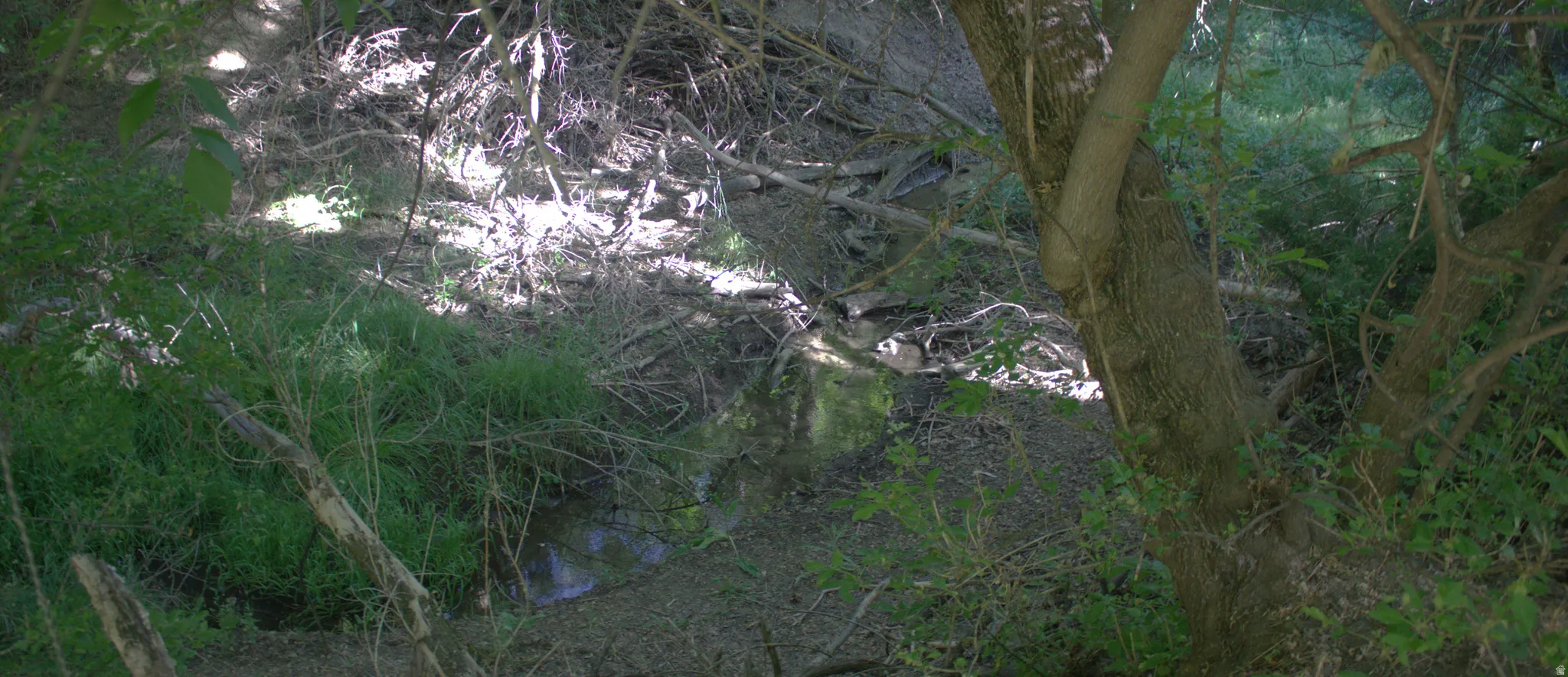 Image quality insufficient for description