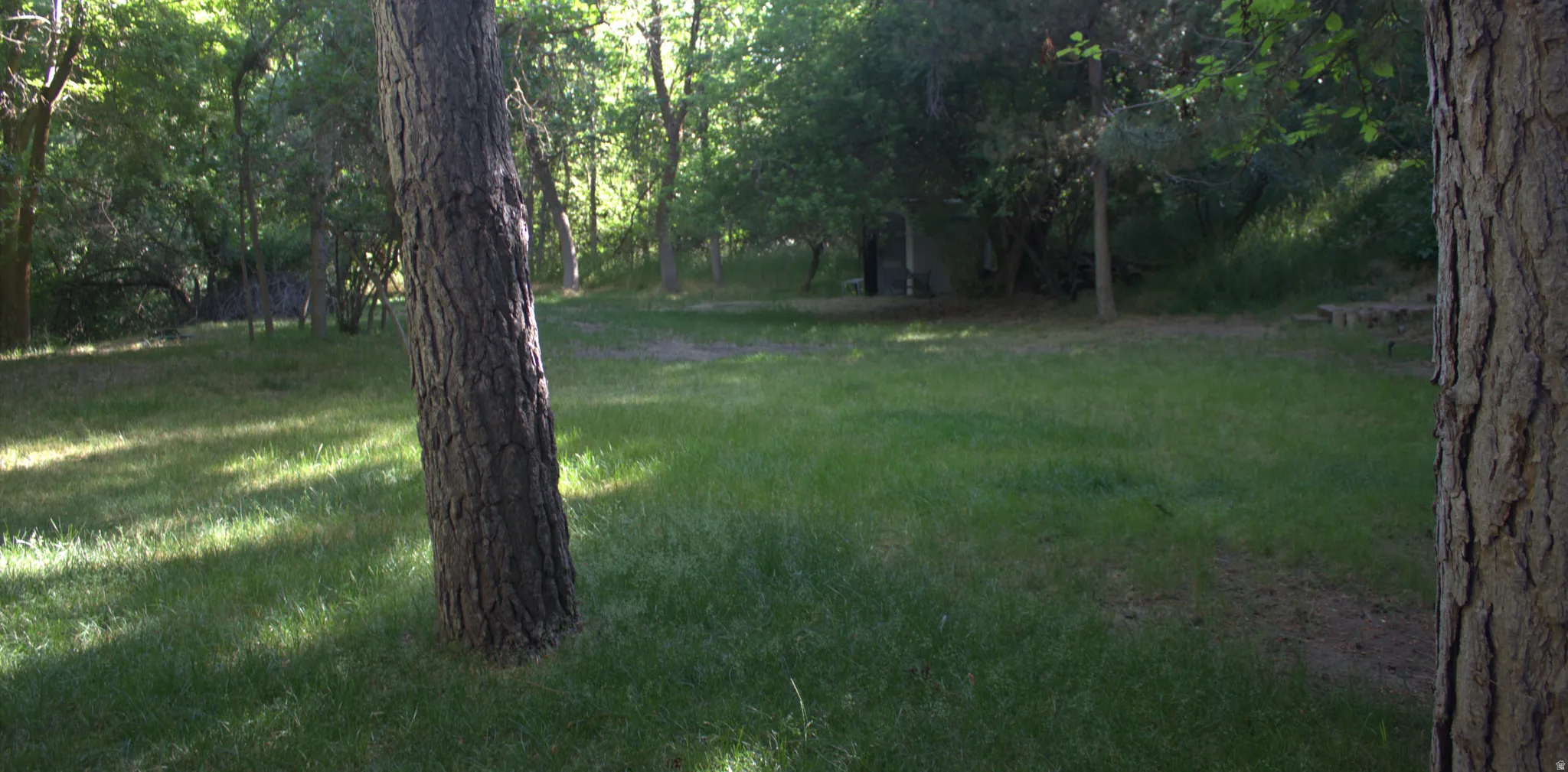 Expansive grassy area surrounded by mature trees, featuring a subtle dirt path