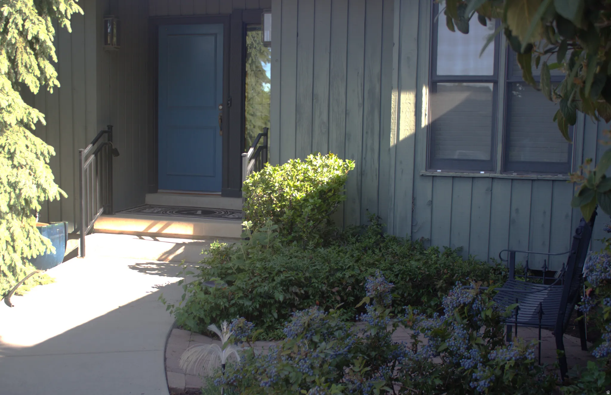Entryway featuring a blue paneled door, dark accent trim, and a concrete pathway