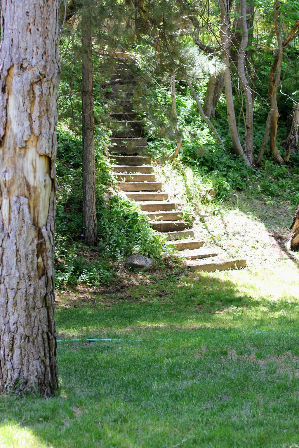 Terraced landscaping featuring a view from back yard of neighbor's staircase and mature trees