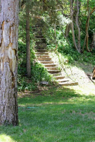 Terraced landscaping featuring a view from back yard of neighbor's staircase and mature trees