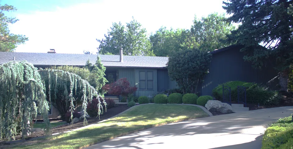 Ranch-style exterior with a dark-colored facade, a gray shingle roof, and a concrete driveway