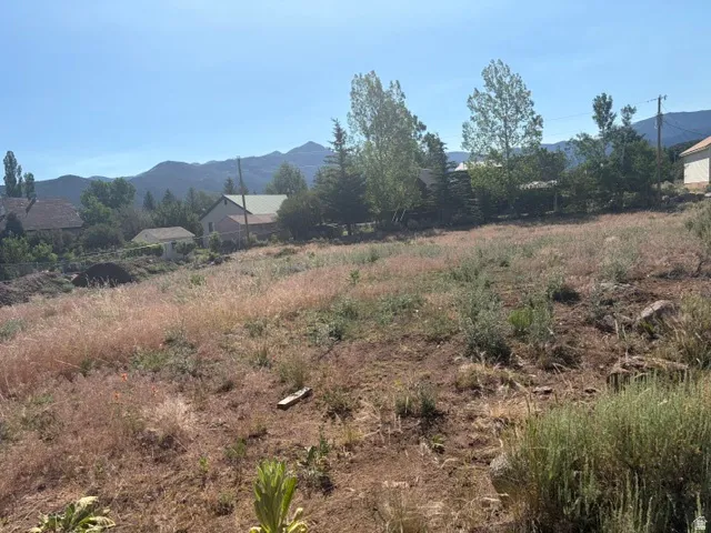 133 S Terry Pkwy, Pine Valley, Utah 84781