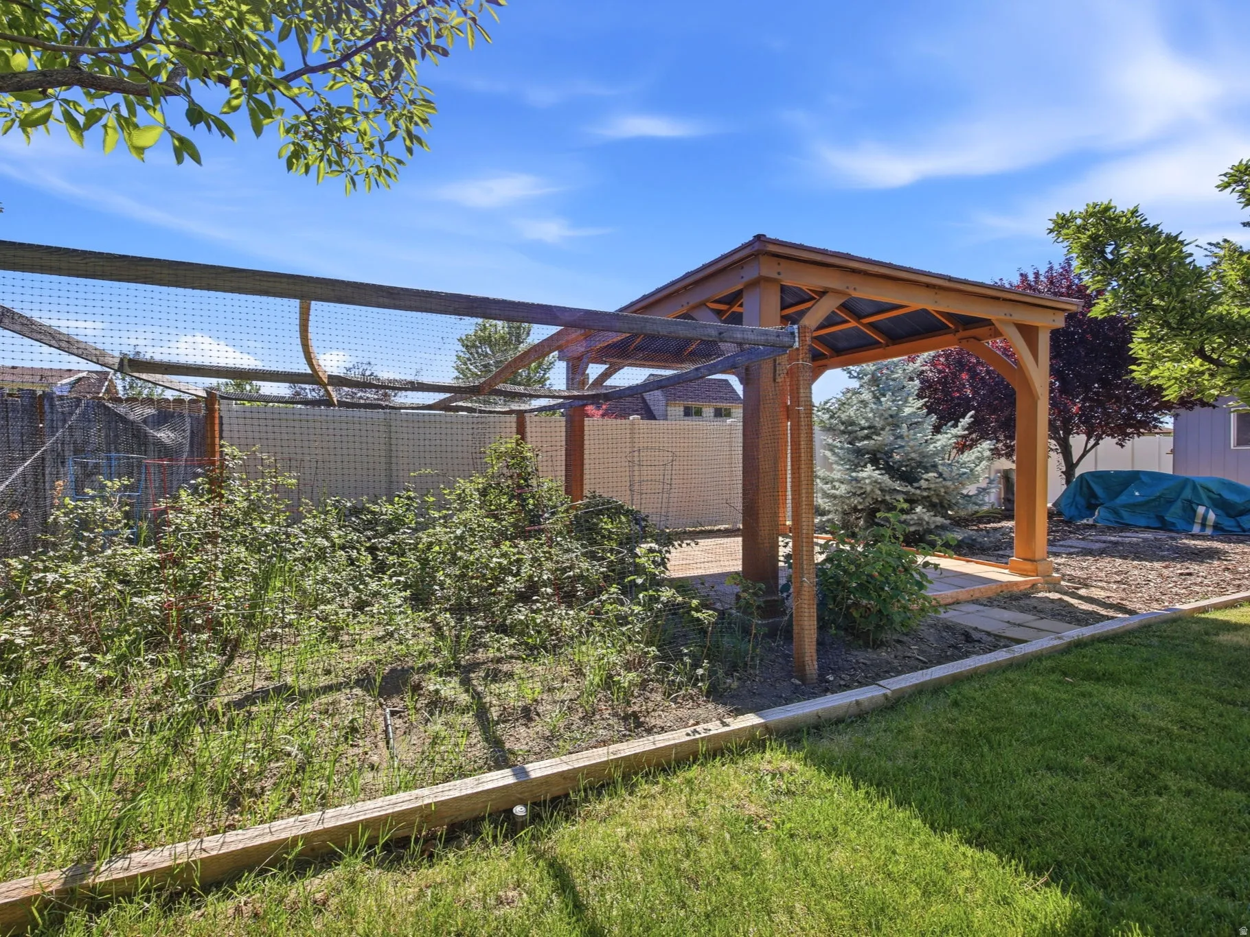 Expansive backyard featuring a natural wood gazebo with a shingled roof, a designated garden area with a netted enclosure, mature landscaping, and a manicured lawn