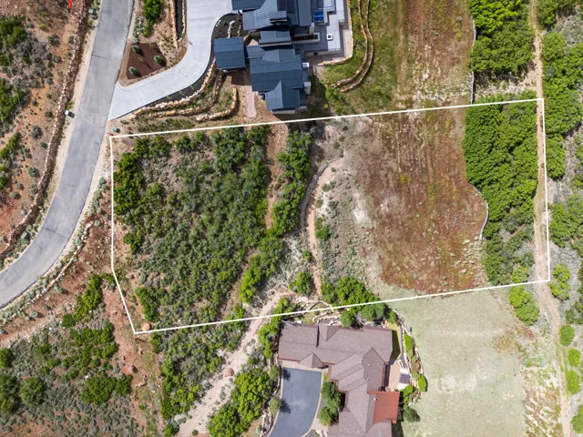 Expansive undeveloped lot featuring varied natural vegetation and direct road frontage