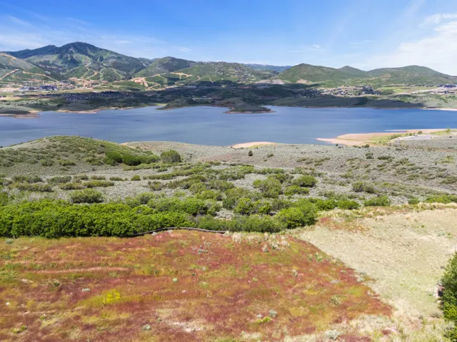 Expansive land parcel featuring diverse vegetation and distant lake scenery