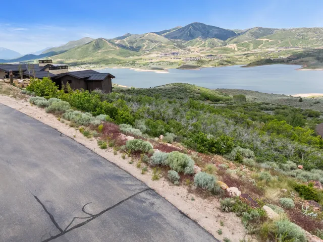 Expansive natural landscaping with a paved road