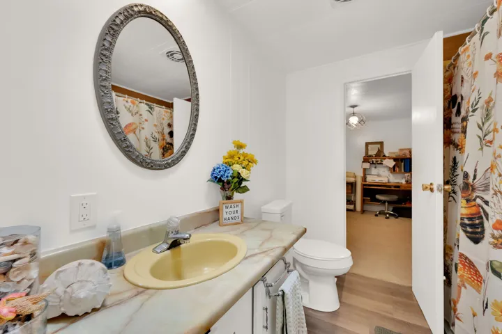 Hallway Bathroom
