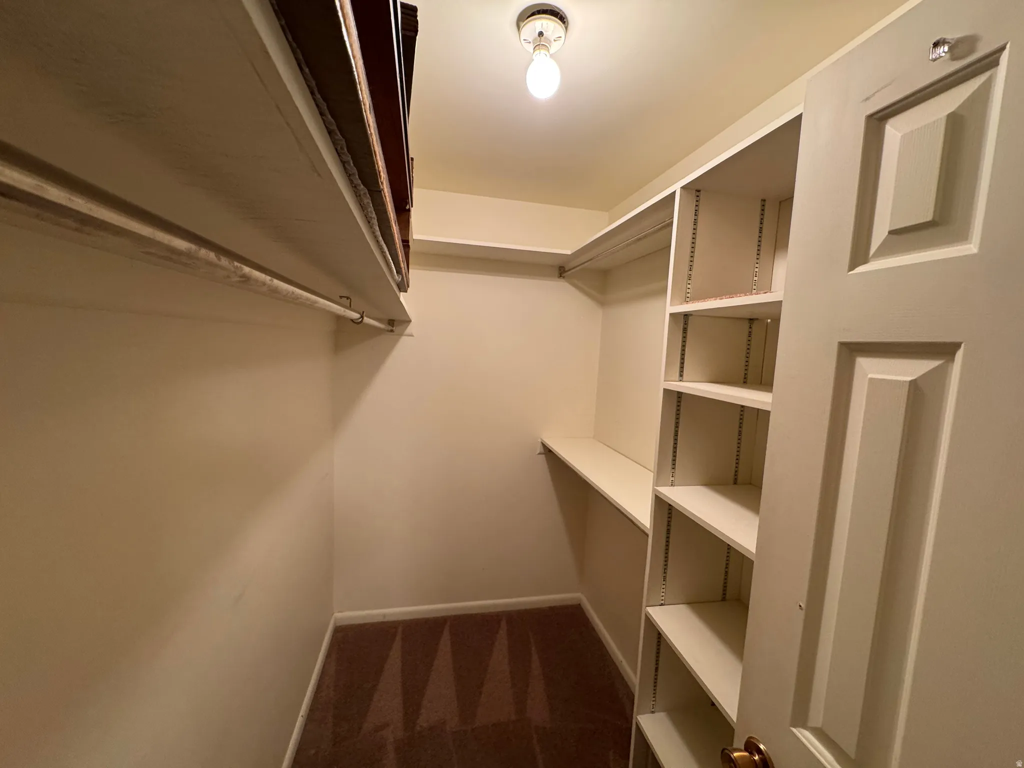 Walk-in closet featuring extensive built-in shelving, hanging rods, and a neutral carpeted floor