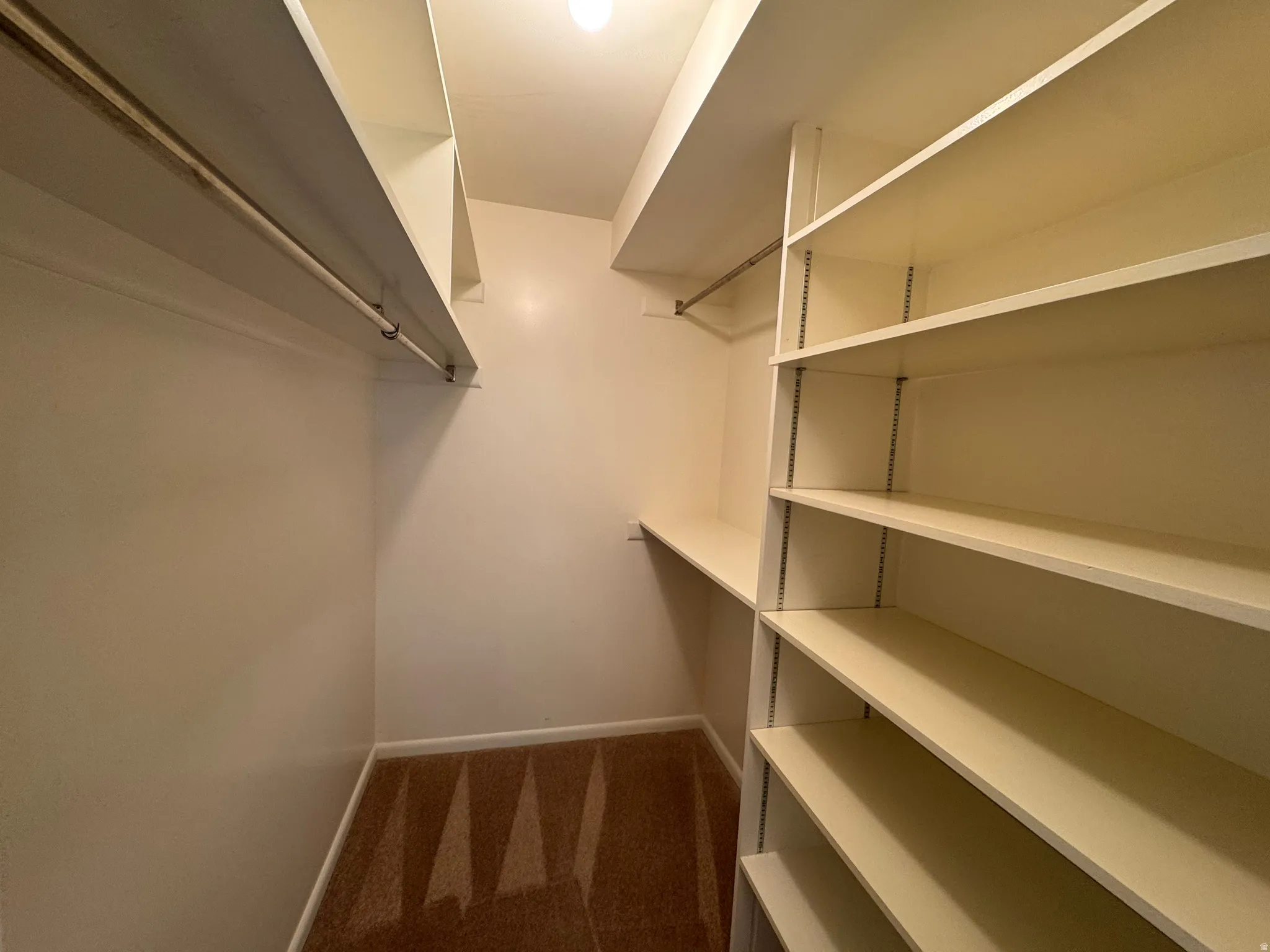 Walk-in closet featuring built-in shelving, hanging rods, an integrated shelf, and carpet flooring