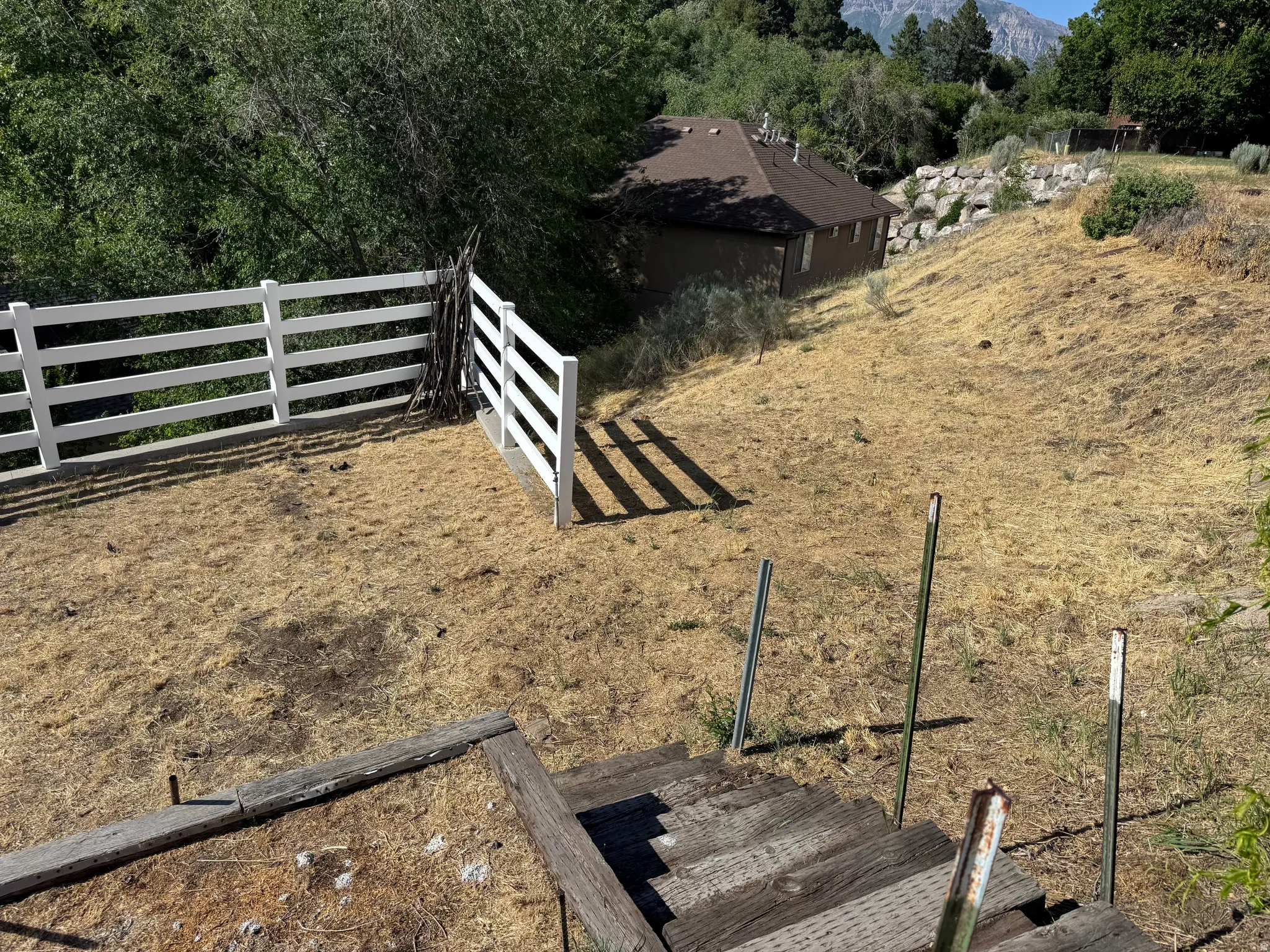 Yard