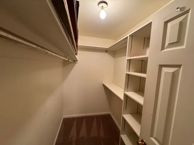 Walk-in closet featuring extensive built-in shelving, hanging rods, and a neutral carpeted floor
