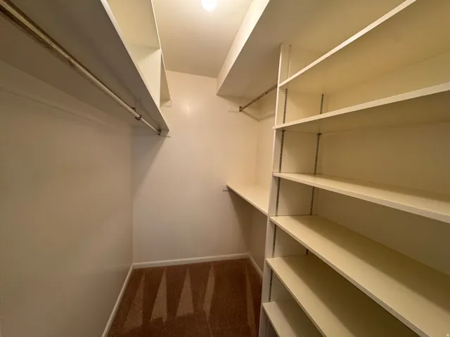 Walk-in closet featuring built-in shelving, hanging rods, an integrated shelf, and carpet flooring