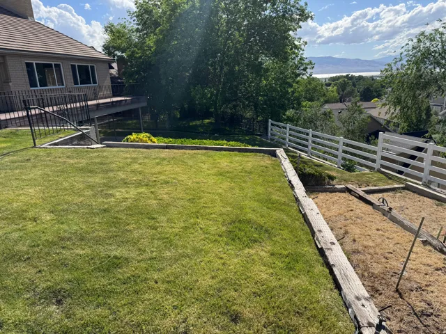 Yard
