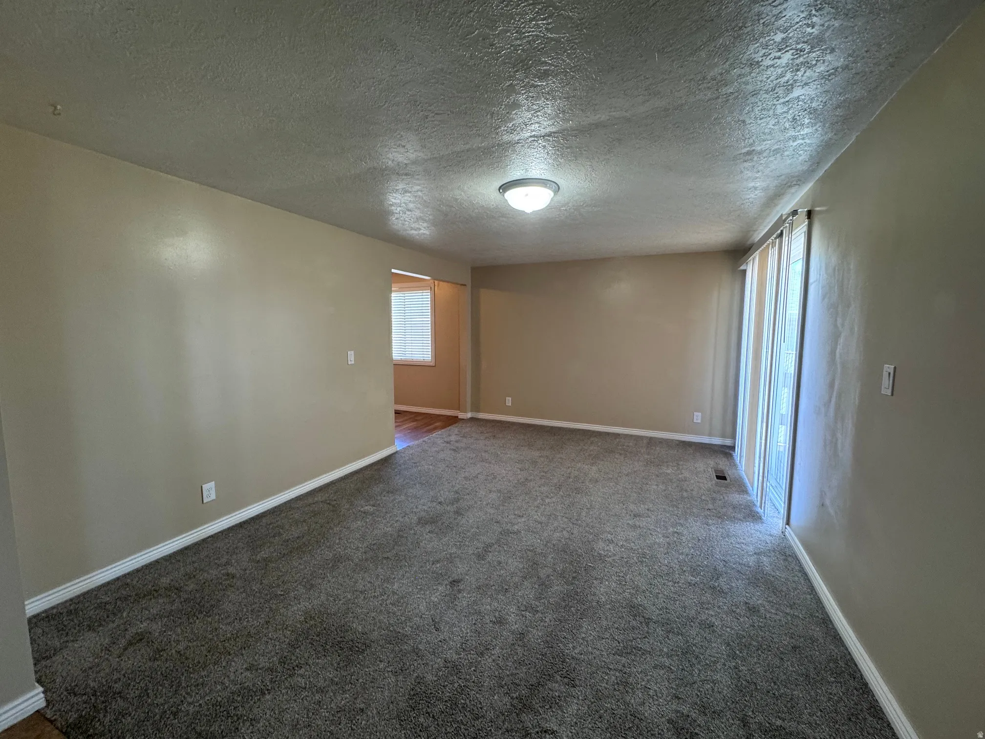 Spacious room featuring neutral-toned walls, textured ceiling, and plush carpeting