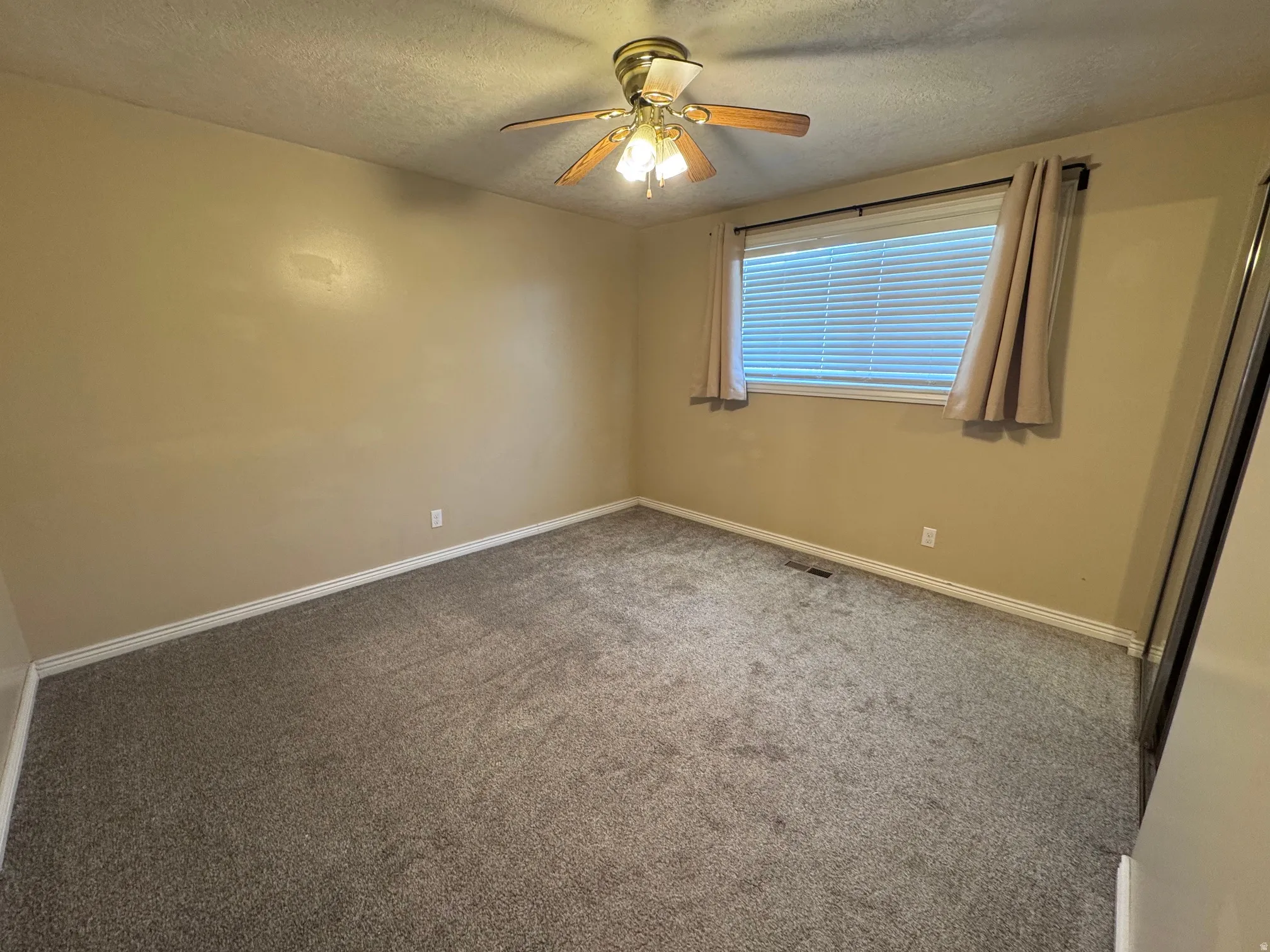 Neutral-toned walls complement the gray carpeting