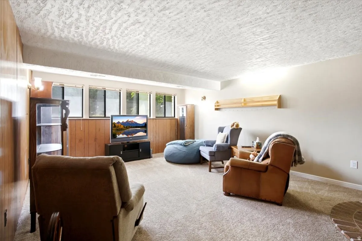 Carpeted room featuring wood paneling along one wall and multiple windows with roller blinds