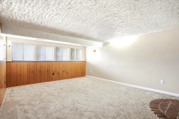 Neutral wall paint, textured ceiling, wood paneling, multiple windows, and carpet flooring