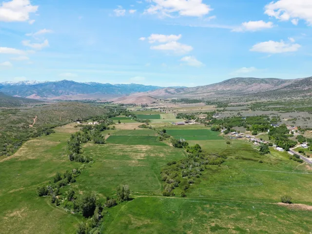Expansive green acreage featuring scattered trees, mountainous terrain, and distant snow-capped peaks