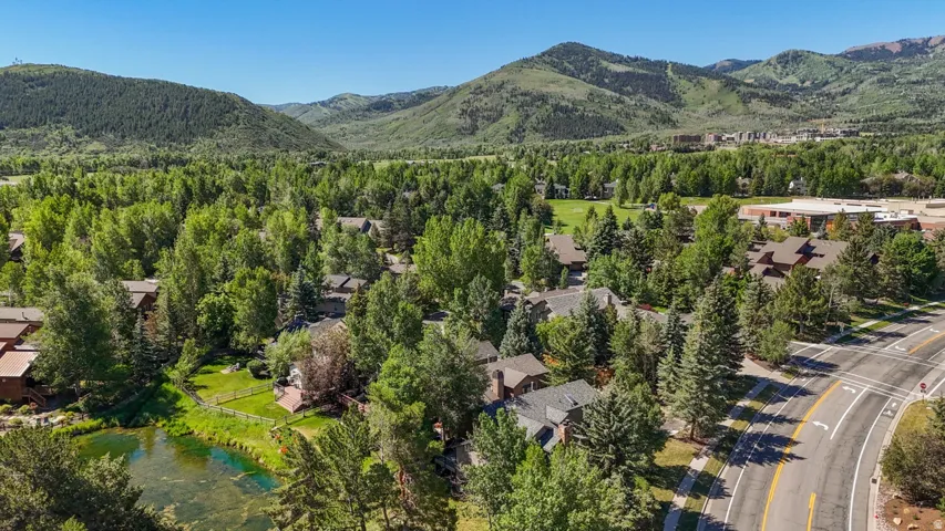 Aerial perspective showcasing a residential community nestled among lush trees