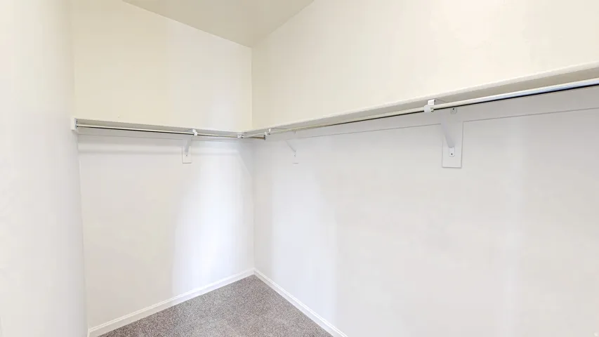 Walk-in closet featuring light gray carpeting, white walls, and built-in shelving with hanging rods