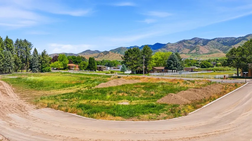 Expansive lot featuring a dirt road entry, natural grass and soil composition, and mature trees along the perimeter