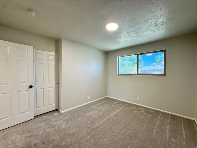 Bedroom featuring neutral wall paint, gray carpeting, a single window, and white bi-fold closet doors