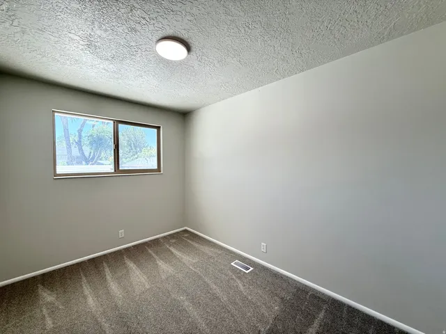 Neutral-toned room featuring a double-pane window, textured ceiling, light gray walls, and dark patterned carpeting