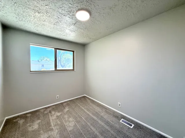 Room featuring a window with natural light, gray wall paint, textured ceiling, a flush-mount ceiling light, and gray patterned carpet flooring
